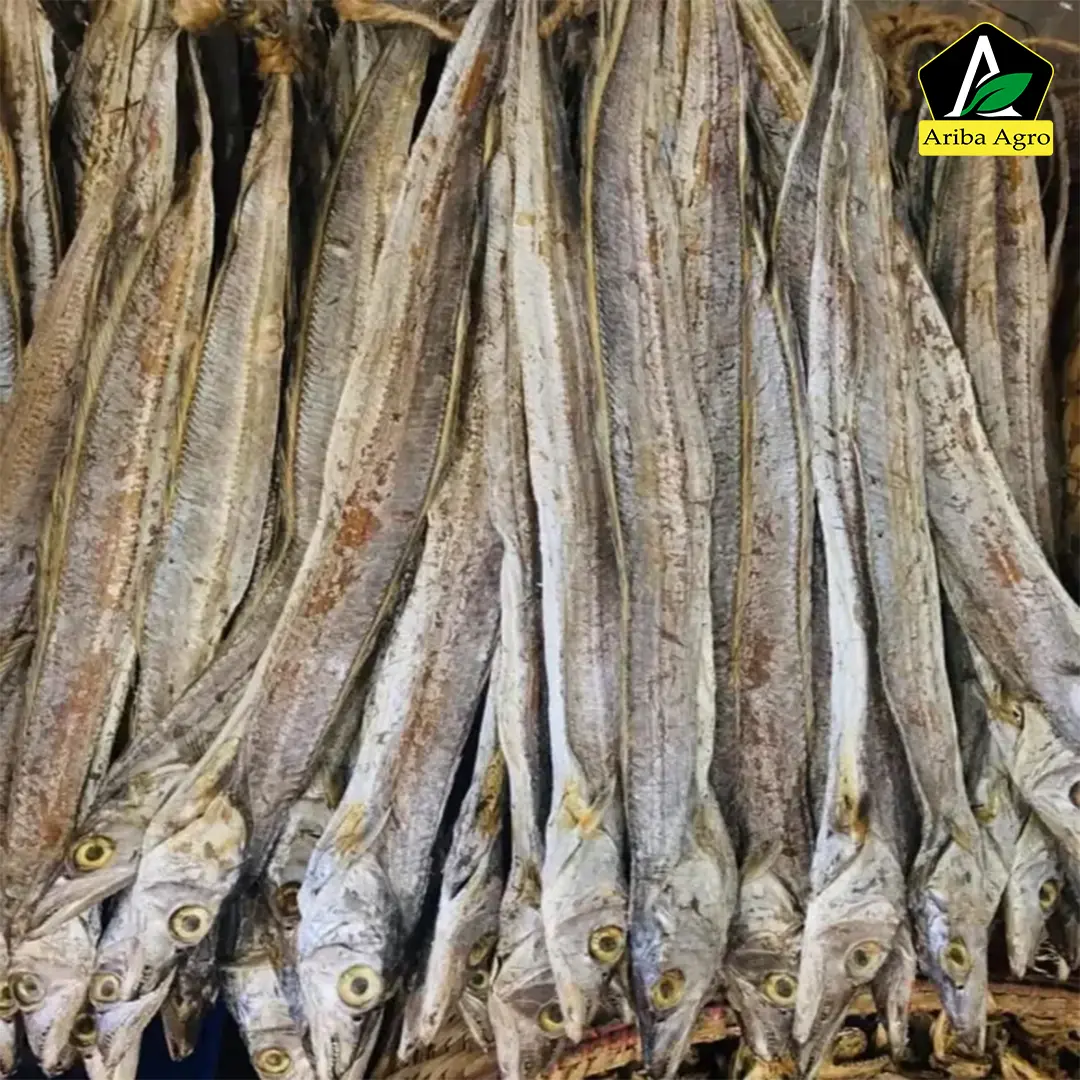 Churi Fish/Ribbon Fish