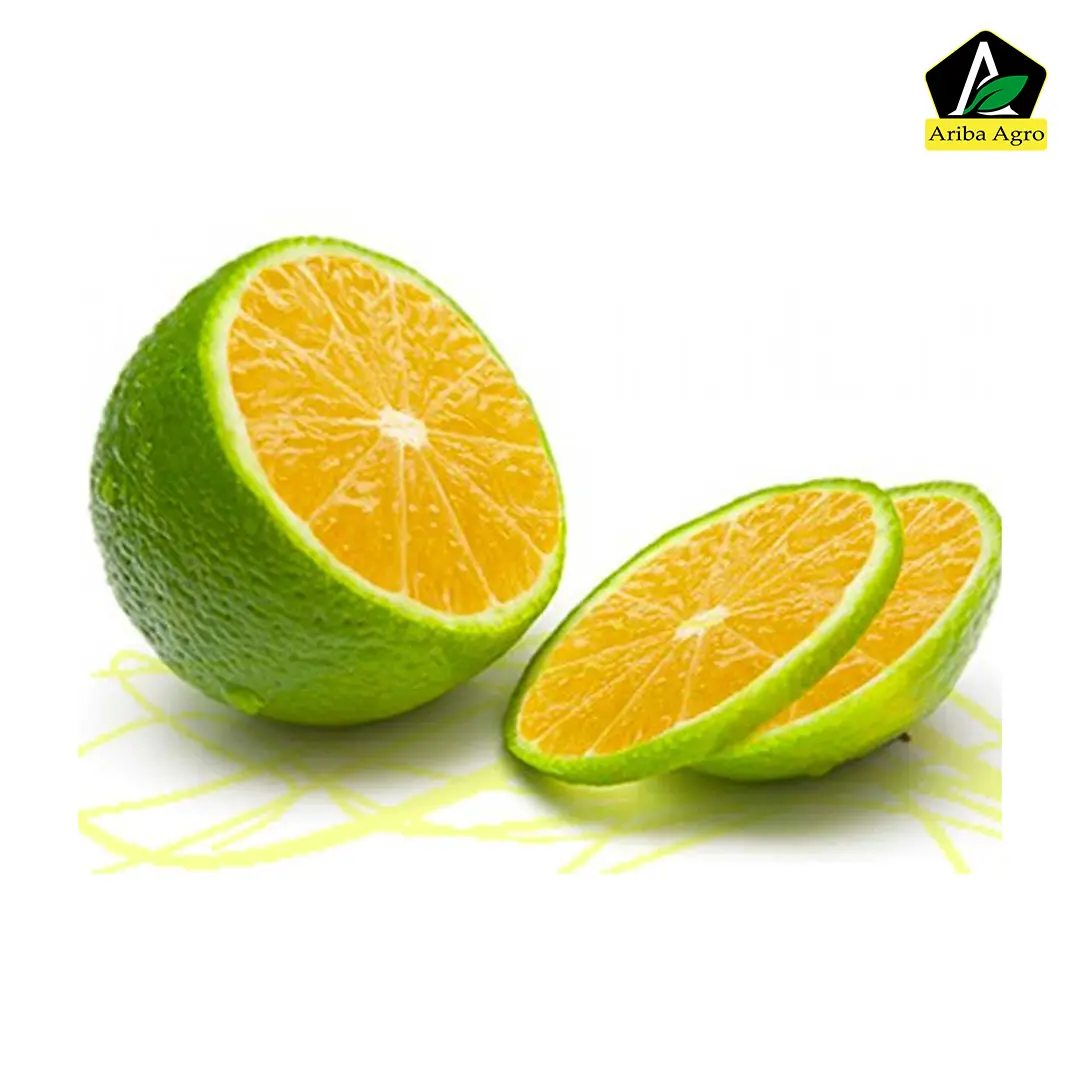 Fresh Deshi Green Malta