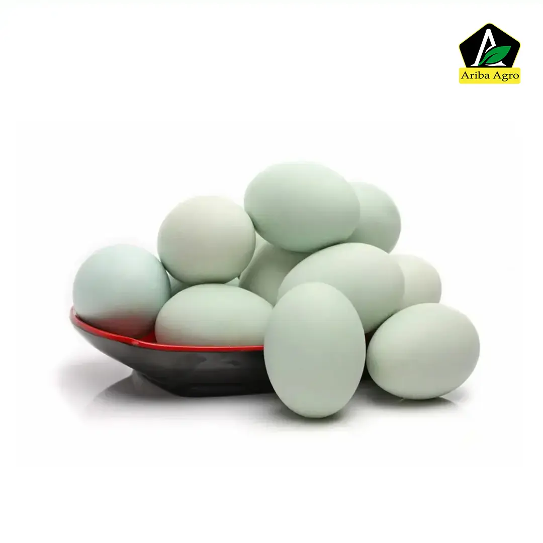  Duck egg – হাঁসের ডিম