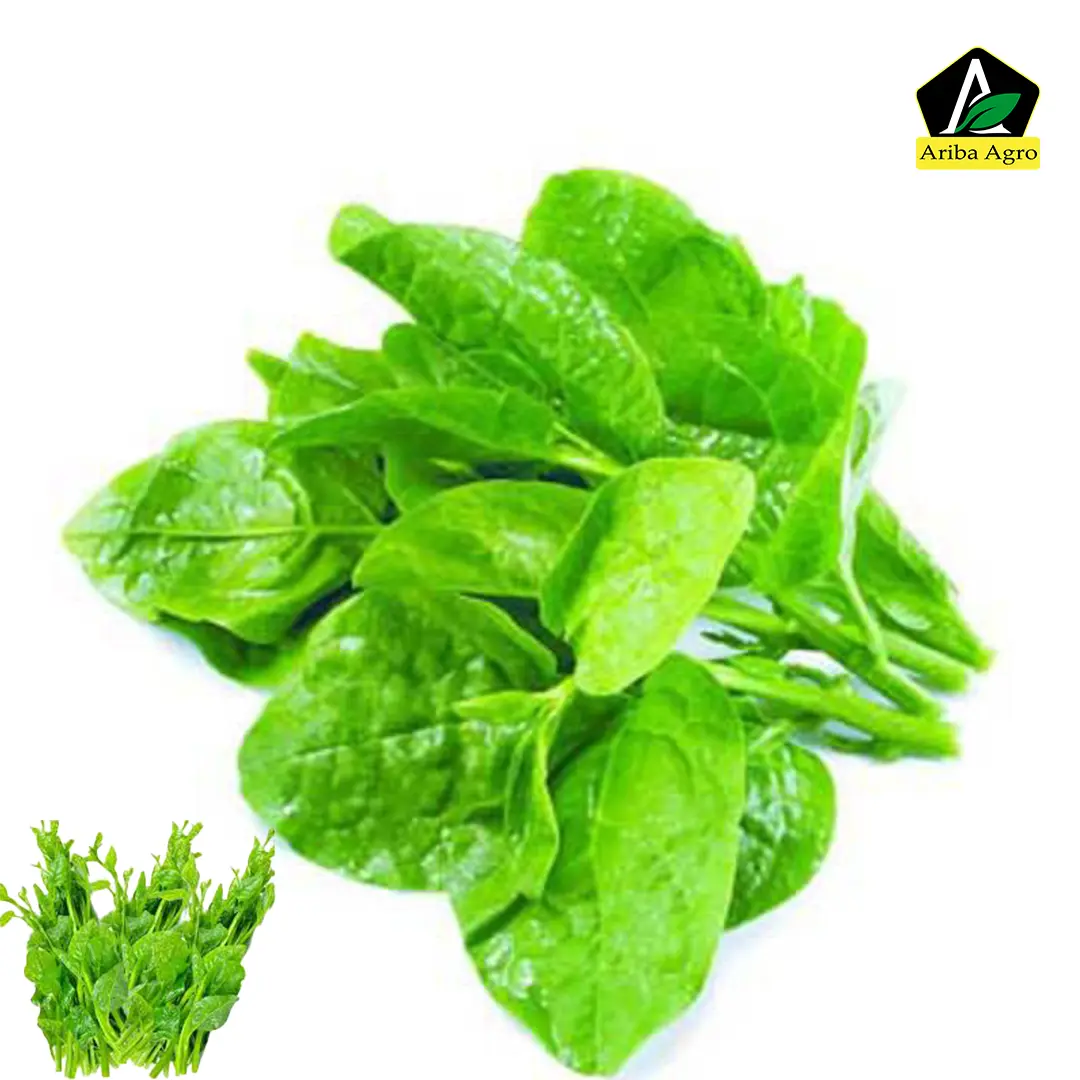 Malabar Spinach – পুঁই শাক