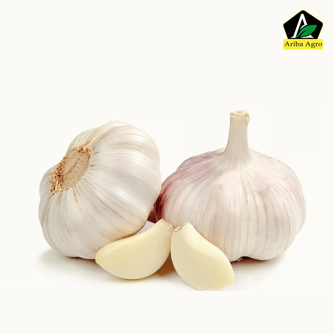 China Garlic(Rosun) – চাইনা রসুন