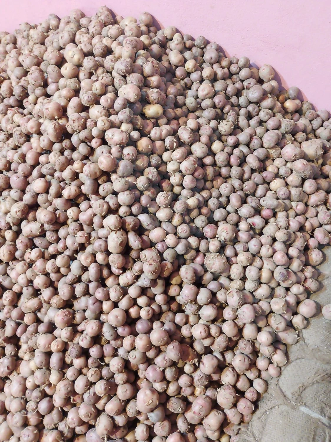 Bogura Alu (small) - আলু (1kg)